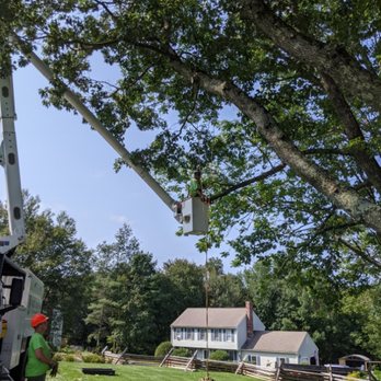 White's Tree Care - Tree Services Near Me - Spencer, Massachusetts White's Tree Care - Tree Services Near Me - Spencer, Massachusetts