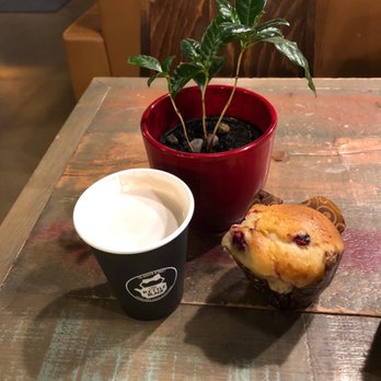 The Kettleblack - hot cocoa, cranberry muffin & a potted plant - Breakfast & Brunch Near Me - Charlottetown, Prince Edward Island The Kettleblack - hot cocoa, cranberry muffin & a potted plant - Breakfast & Brunch Near Me - Charlottetown, Prince Edward Island