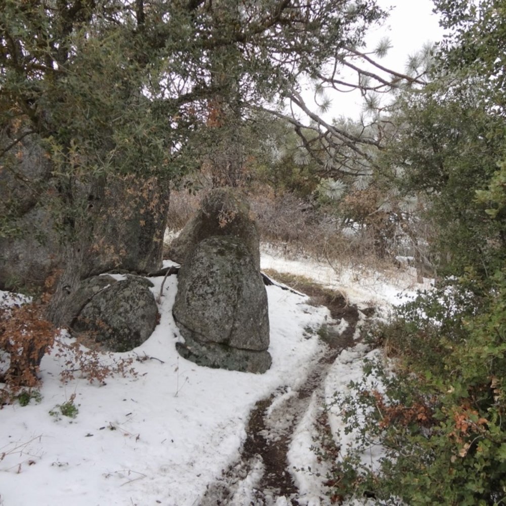 Remmington Trail - Snowy trails in February 2012 - Hiking Near Me - El Portal, California Remmington Trail - Snowy trails in February 2012 - Hiking Near Me - El Portal, California