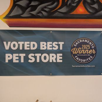 Exotic Aquarium - Voted Best Pet Store 2025 - Local Fish Stores Near Me - Sacramento, California Exotic Aquarium - Voted Best Pet Store 2025 - Local Fish Stores Near Me - Sacramento, California
