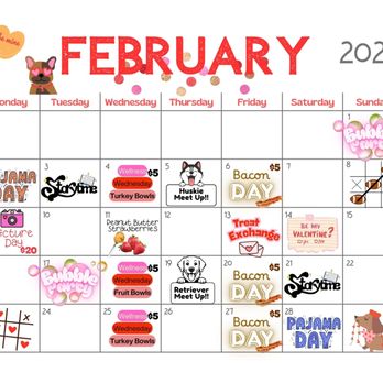 Dogtopia - Pet Boarding Near Me - Frisco, Texas