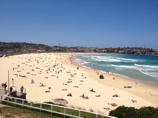 Bondi Beach by null