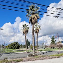 Hunter Park - Hunter park