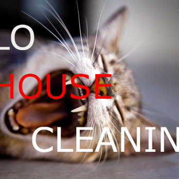 SLO House Cleaning - Office Cleaning Near Me - San Luis Obispo, California SLO House Cleaning - Office Cleaning Near Me - San Luis Obispo, California