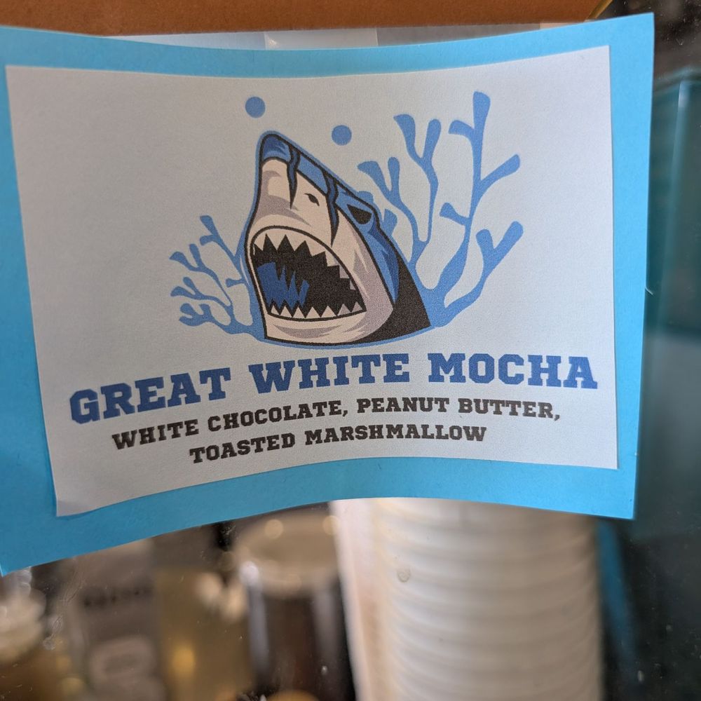 Buffalo Books & Coffee - Great White Mocha - Bookstores Near Me - Buffalo, Minnesota Buffalo Books & Coffee - Great White Mocha - Bookstores Near Me - Buffalo, Minnesota