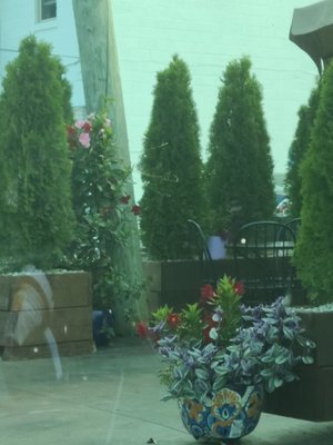 Crazy Gringo Mexican Express by null