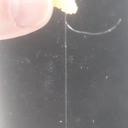 McDonald's - 1 of 3 hairs I pulled out of my mouth from their fries. Then had to deal with rude staff.
