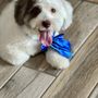 Photo of PupLuxe Grooming