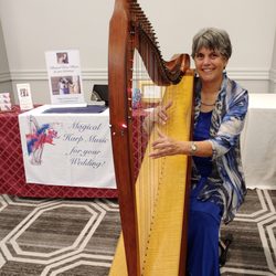 Magical Harps By Amy Lynn Kanner - Bridal fair at Christmas!