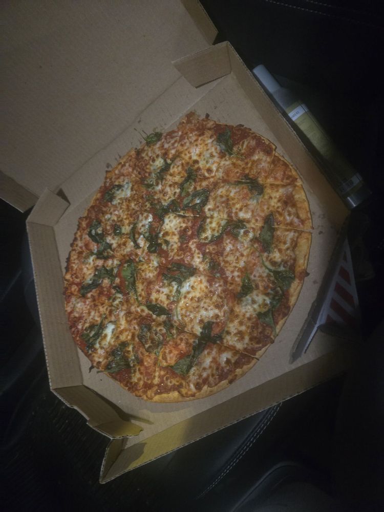 Domino's Pizza Logo