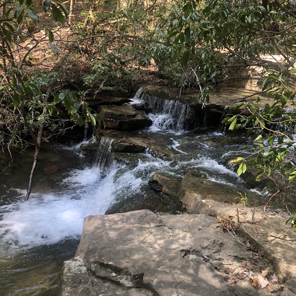 Virgin Falls State Natural Area - Hiking Near Me - Sparta, Tennessee Virgin Falls State Natural Area - Hiking Near Me - Sparta, Tennessee