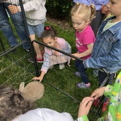 Backyard Buddies Mobile Petting Zoo - Birthday girl and guests enjoying the small animal experience petting zoo