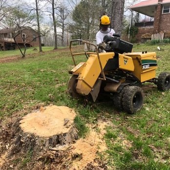 Key Stump Grinding - Tree Services Near Me Key Stump Grinding - Tree Services Near Me