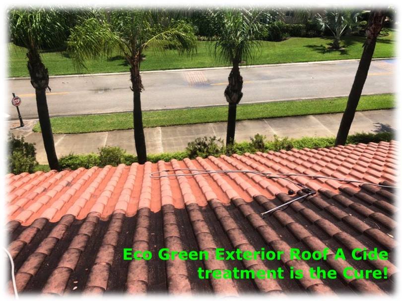 Slide of Eco Green Drone