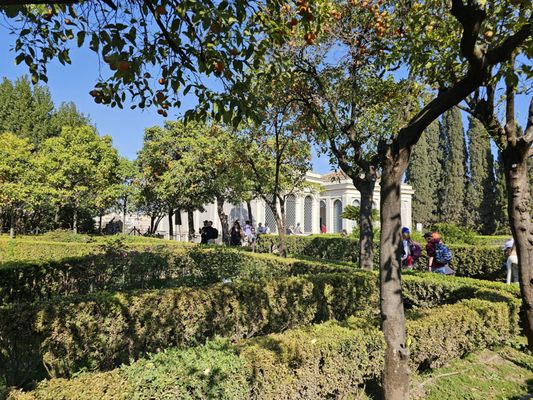 Roman Forum by null