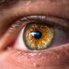 Superior Eye Care gift card