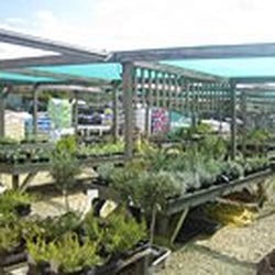 Oakley Green Nurseries - Photo from Oakley Green's website: http://www.oakleygreennurseries.co.uk