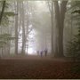 Photo of Fitness im Stadtwald