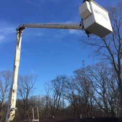 Ron's Tree Service & Stump Grinding - Tree work and stump removal