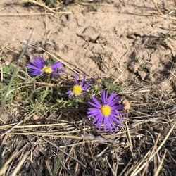 Rita Blanca National Grasslands
