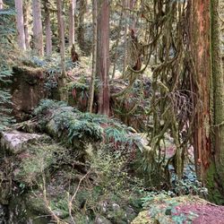 Cypress Falls Park - April 13, 2025.