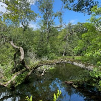 Ichetucknee Springs State Park - Parks Near Me - Fort White, Florida Ichetucknee Springs State Park - Parks Near Me - Fort White, Florida