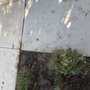 Photo of Smith & Enright Landscaping