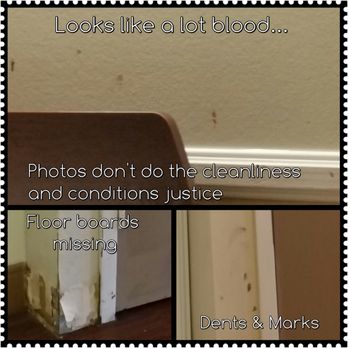 The Shores Post Acute - Skilled Nursing Near Me - San Diego, California The Shores Post Acute - Skilled Nursing Near Me - San Diego, California