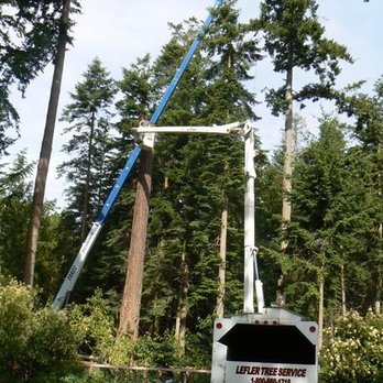 Lefler Tree Service - Tree Trimming and Shaping Services - Tree Services Near Me - Port Orchard, Washington Lefler Tree Service - Tree Trimming and Shaping Services - Tree Services Near Me - Port Orchard, Washington