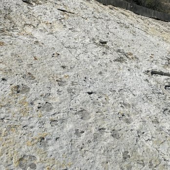 Dinosaur Ridge - Footprints! - Museums Near Me - Morrison, Colorado