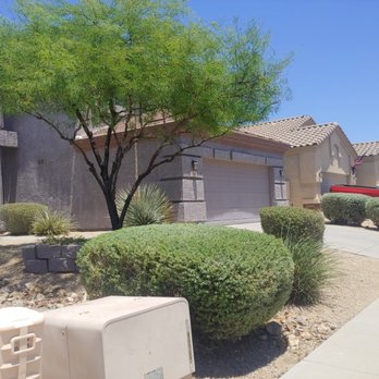 DLC Landscaping Services - Trimming - Tree Services Near Me
