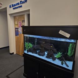 Downingtown Library
