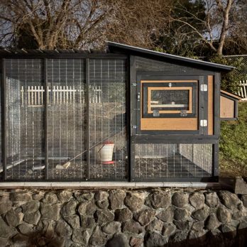 For The Birds CC - Amazing Chicken Coop - Pet Services Near Me For The Birds CC - Amazing Chicken Coop - Pet Services Near Me