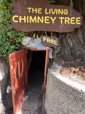 Chimney Tree Grill by null