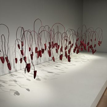 Anchorage Museum - Museums Near Me - Anchorage, Alaska