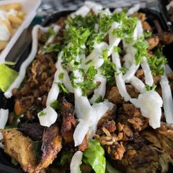 Falafel Fresh - Chicken Gyro Salad