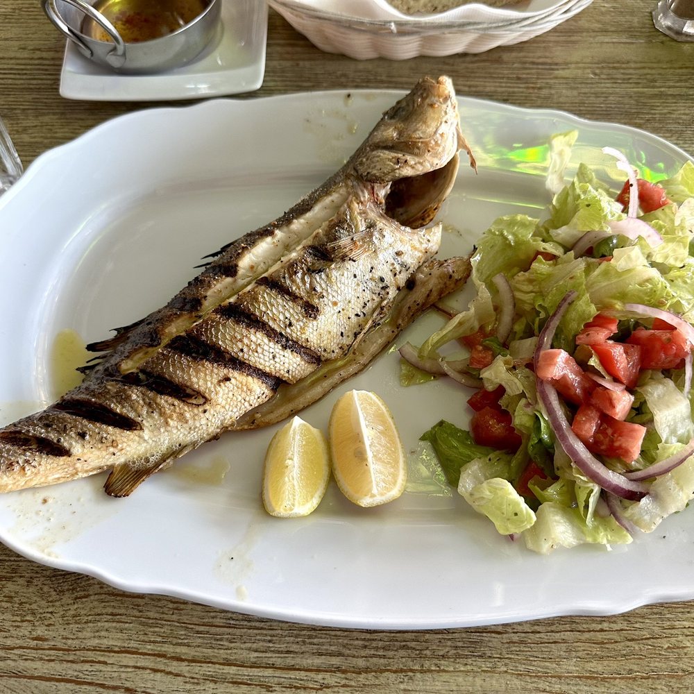 Alacati Mediterranean Restaurant - Turkish Near Me - Hallandale Beach, Florida Alacati Mediterranean Restaurant - Turkish Near Me - Hallandale Beach, Florida