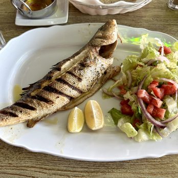 Alacati Mediterranean Restaurant - Turkish Near Me - Hallandale Beach, Florida Alacati Mediterranean Restaurant - Turkish Near Me - Hallandale Beach, Florida