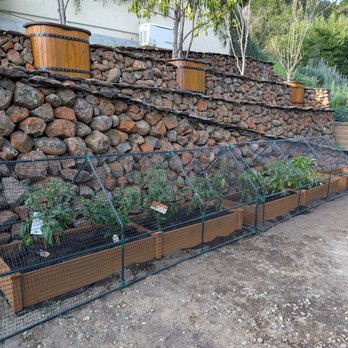 Hippos Landscape Services - Terraced orchard - Gardeners Near Me Hippos Landscape Services - Terraced orchard - Gardeners Near Me