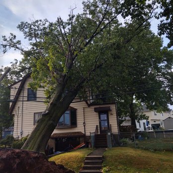 Darrin's Tree Service - Tree Services Near Me - East Hanover, New Jersey Darrin's Tree Service - Tree Services Near Me - East Hanover, New Jersey