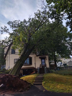 Storm Damage & Emergency Service - Storms and high winds can be devastating, sending branches and entire trees falling on top of your home, car or business. We offer fast and reliable emergency service to remove damaged trees. Storm Damage & Emergency Service - Storms and high winds can be devastating, sending branches and entire trees falling on top of your home, car or business. We offer fast and reliable emergency service to remove damaged trees.