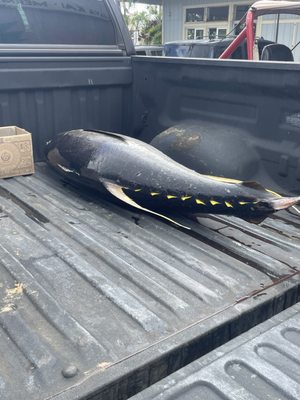 Mermaids Cafe by null