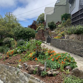 Seward Mini Park - Next to the park is this beautiful garden - Parks Near Me - San Francisco, California Seward Mini Park - Next to the park is this beautiful garden - Parks Near Me - San Francisco, California