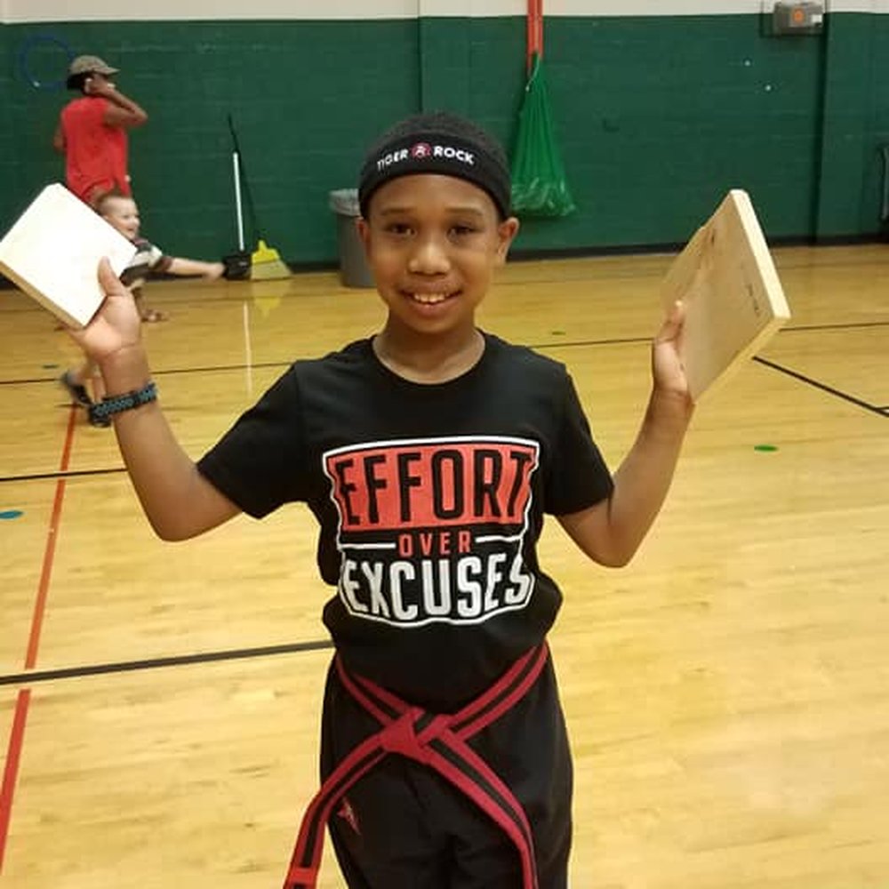 Tiger Rock - Demo - Martial Arts Near Me - Irmo, South Carolina Tiger Rock - Demo - Martial Arts Near Me - Irmo, South Carolina