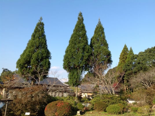 Onyado Chikurintei by null