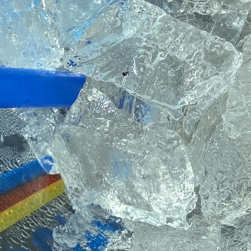 Dutch Bros Coffee - Gross - Coffee & Tea Near Me - Casa Grande, Arizona