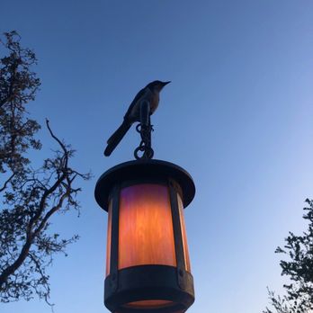 Nepenthe - Birds singing everywhere - New American Near Me - Big Sur, California