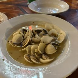 Steamer Clams Steamer Clams