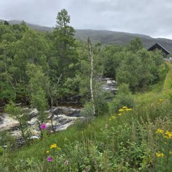 Corrieshalloch Gorge