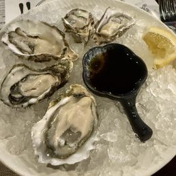 Special new oysters